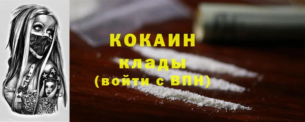 винт Абаза