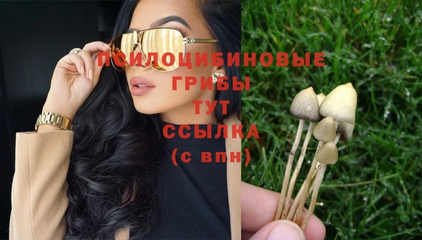 винт Абаза