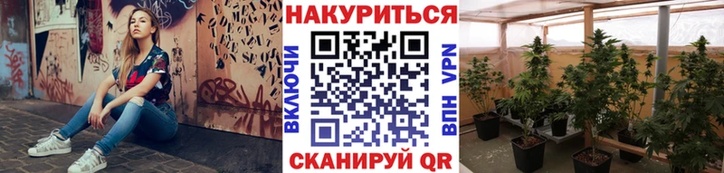 купить наркотик  Адыгейск  Шишки марихуана планчик 